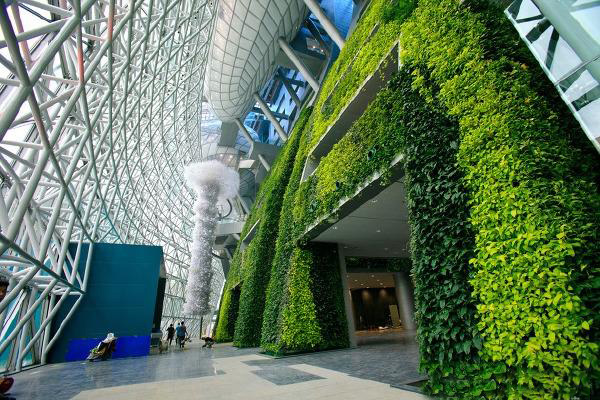 首尔新市政厅绿植墙项目欣赏