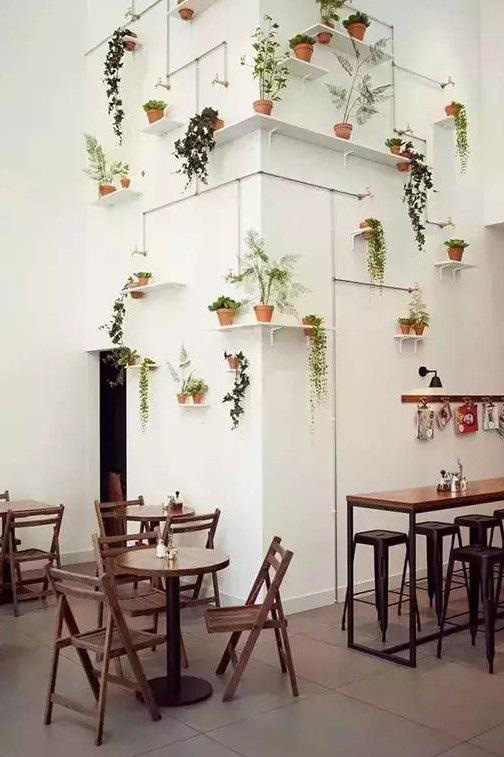 绿植如何“贴”墙？太适合新家了！