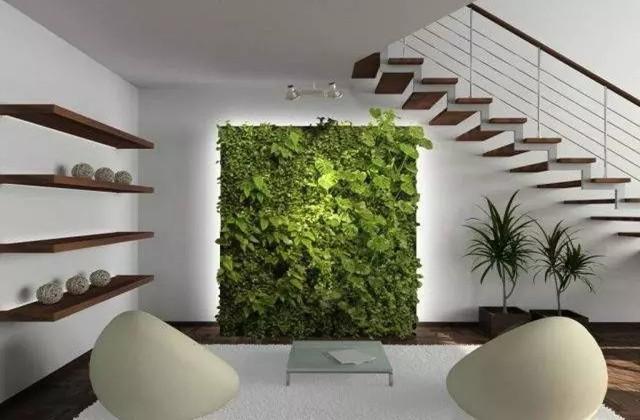 绿植长在墙上，个性又省地方！