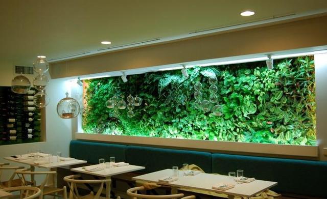 绿色植物墙-让你四季如春