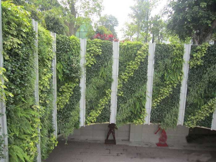 室外绿植墙