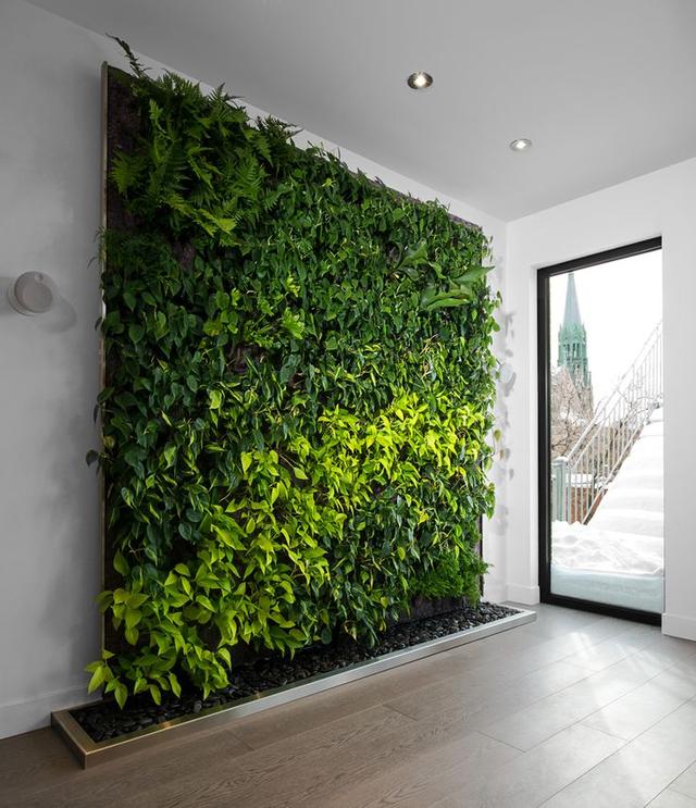 家里太单调？可以将绿植挂在墙上！