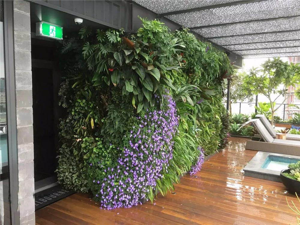 绿色植物墙设计必注意之风水