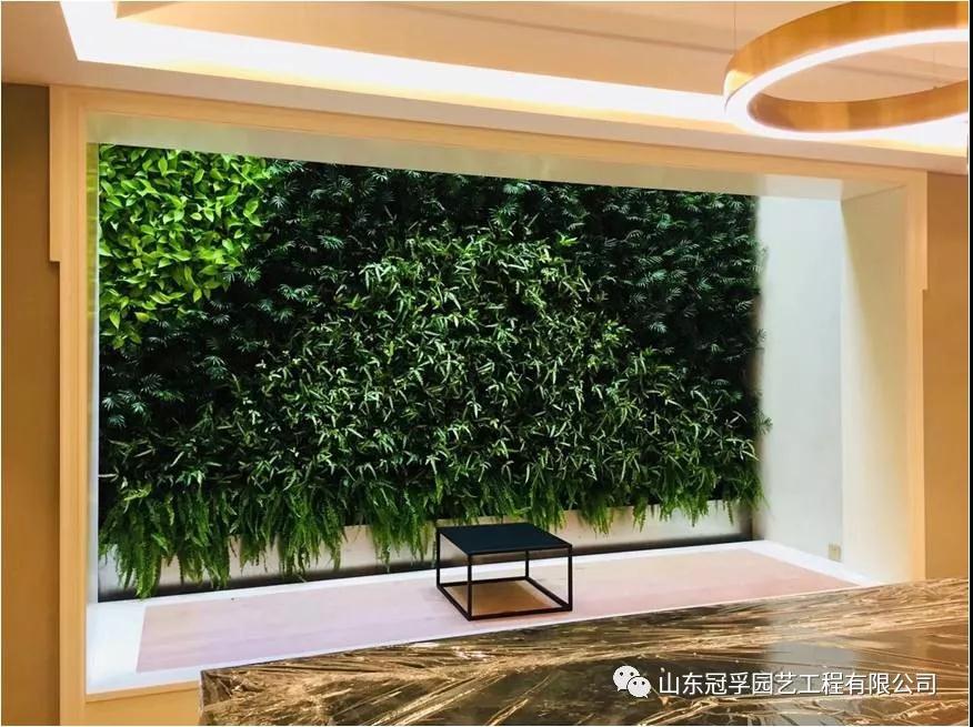 垂直绿化植物墙的养护方法