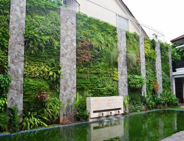 绿植墙的应用给城市建设带来的惊喜